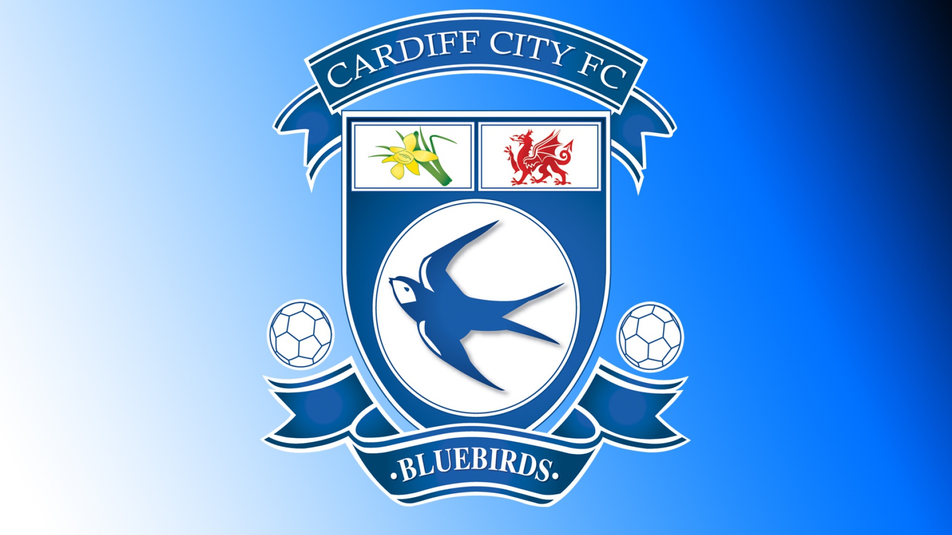 Популярный Футбольный клуб Кардифф Сити