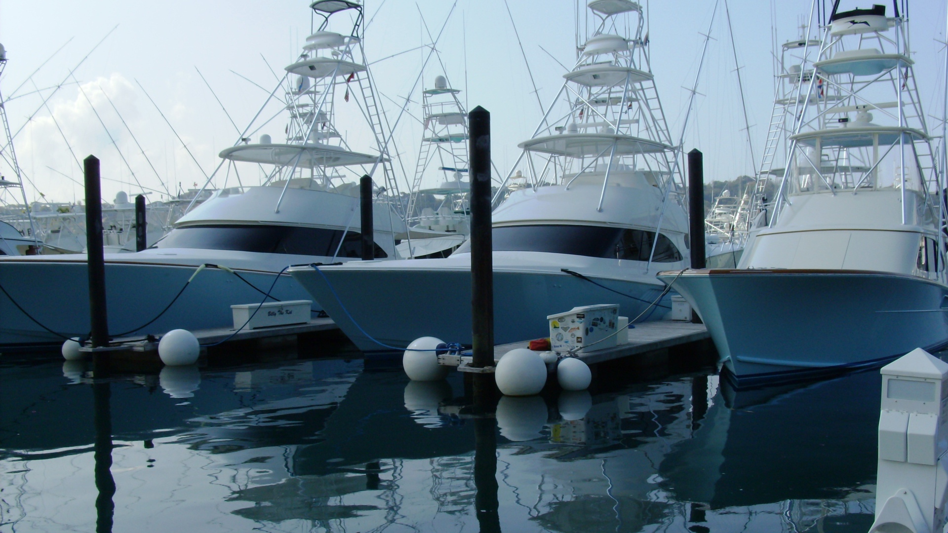 Порт Коста-Рика