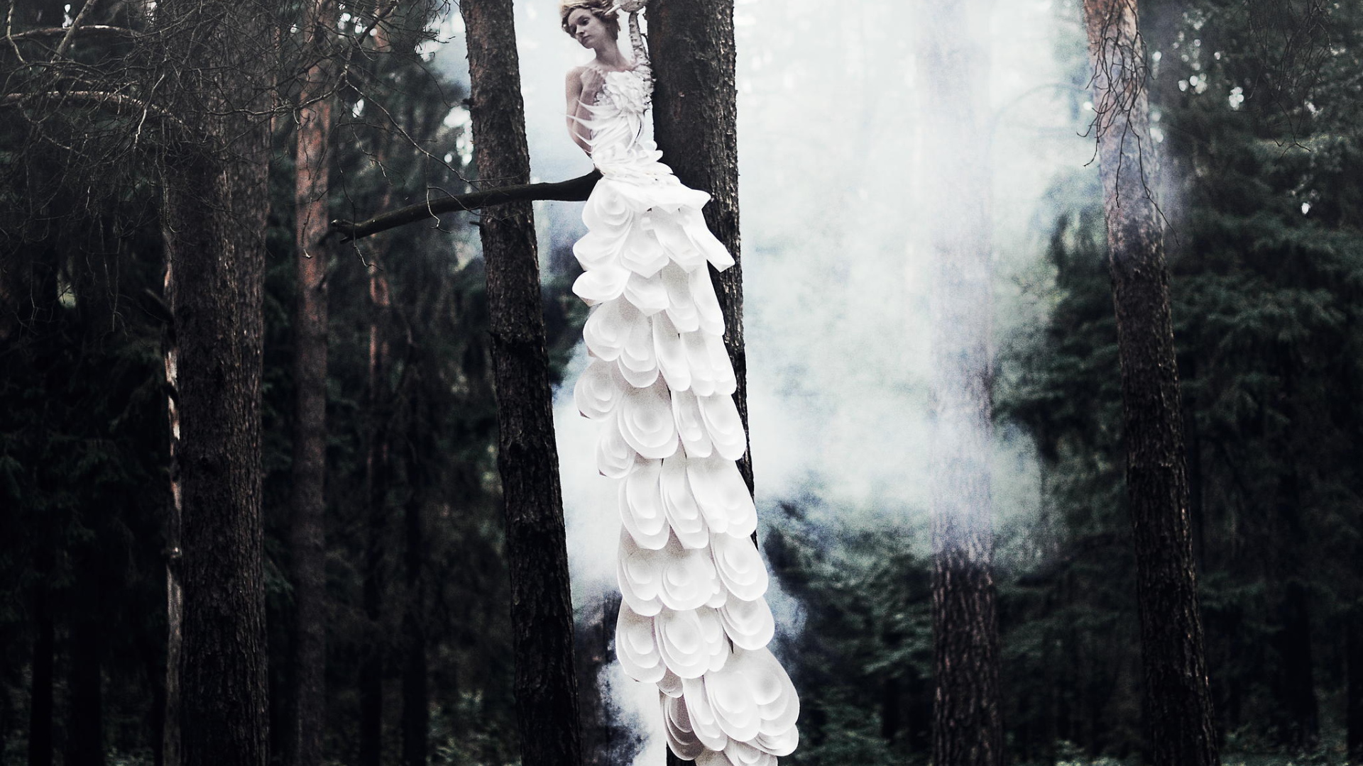 Фотография Девушка на дереве