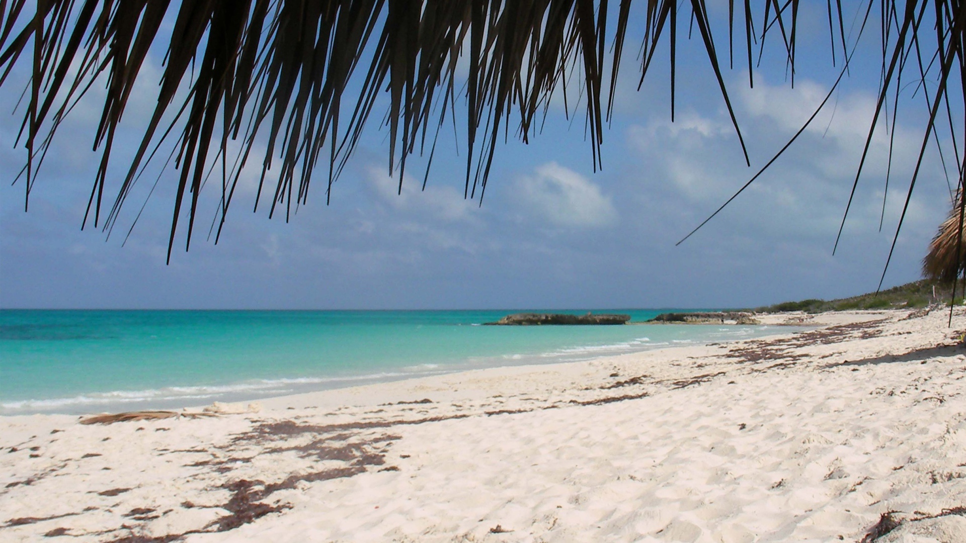 Пляж на курорте Кайо Санта Мария, Куба