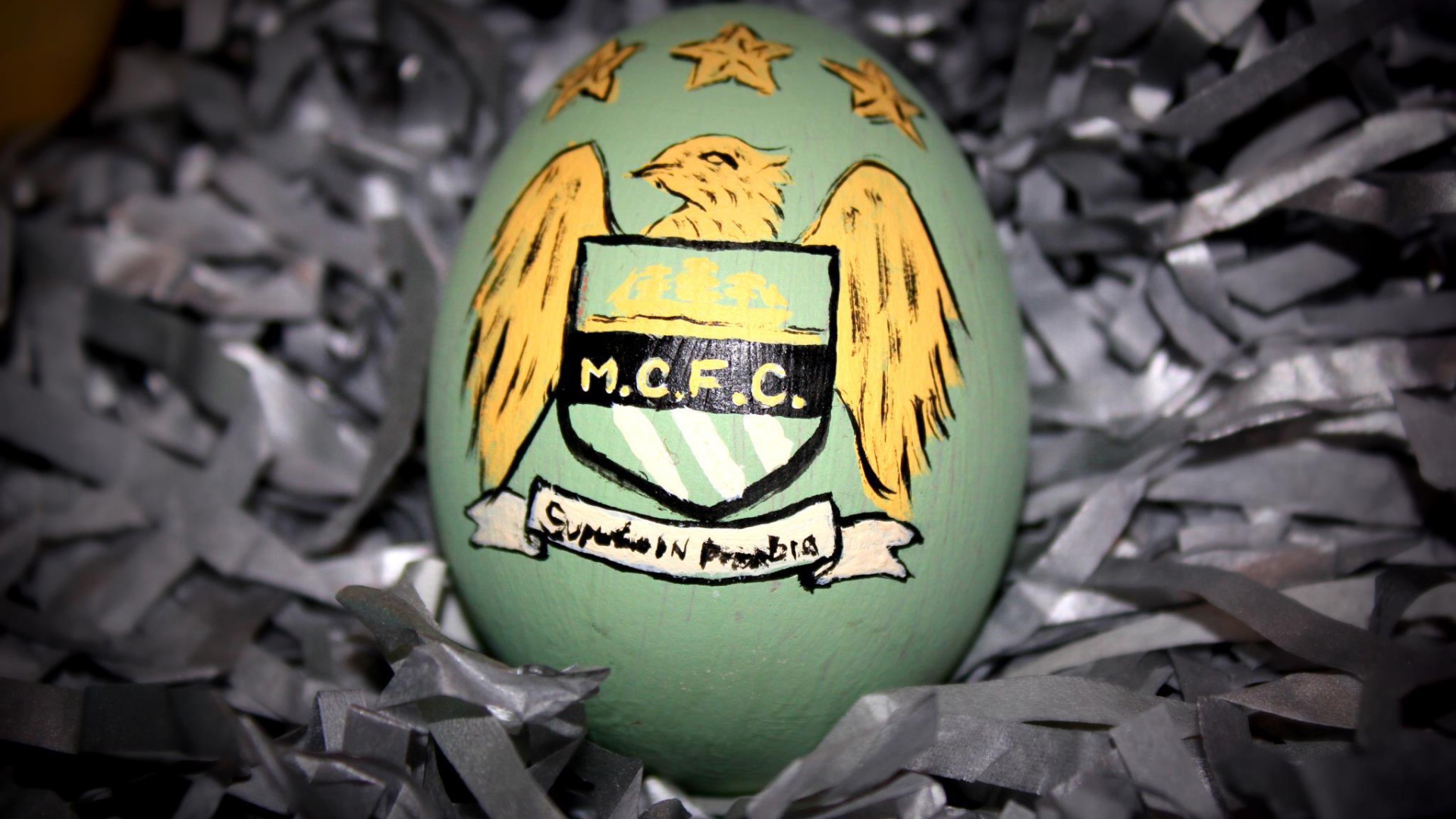 Известная футбольная команда Манчестер Сити