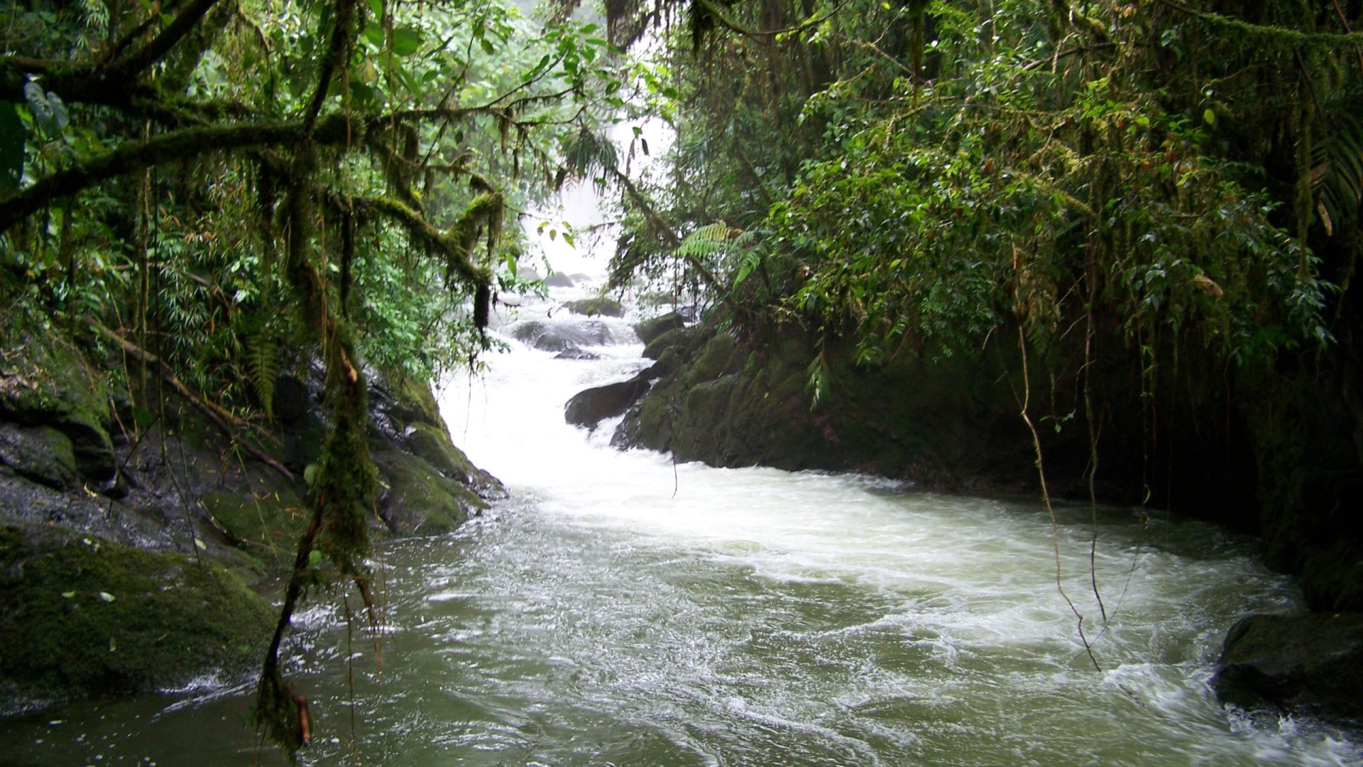 Водопад и река в Коста-Рика