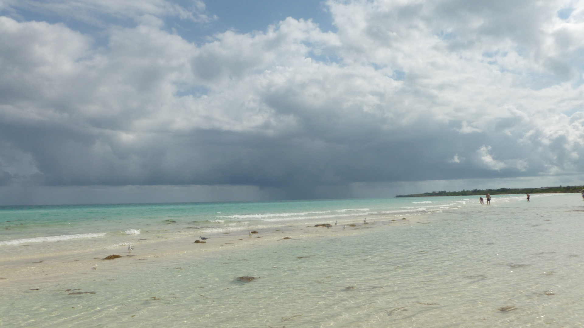 Зимний отдых на курорте Кайо Коко, Куба