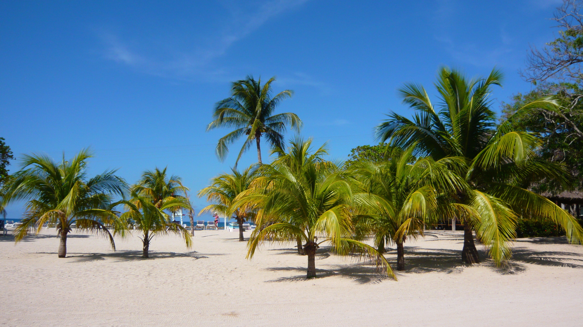 Замечательное место в Гаити