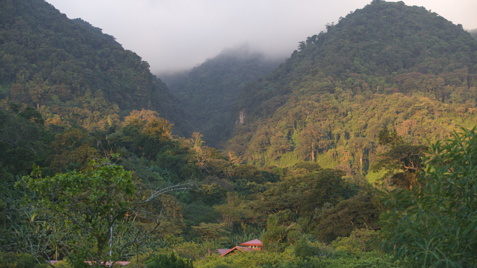 Замечательное Коста-Рика