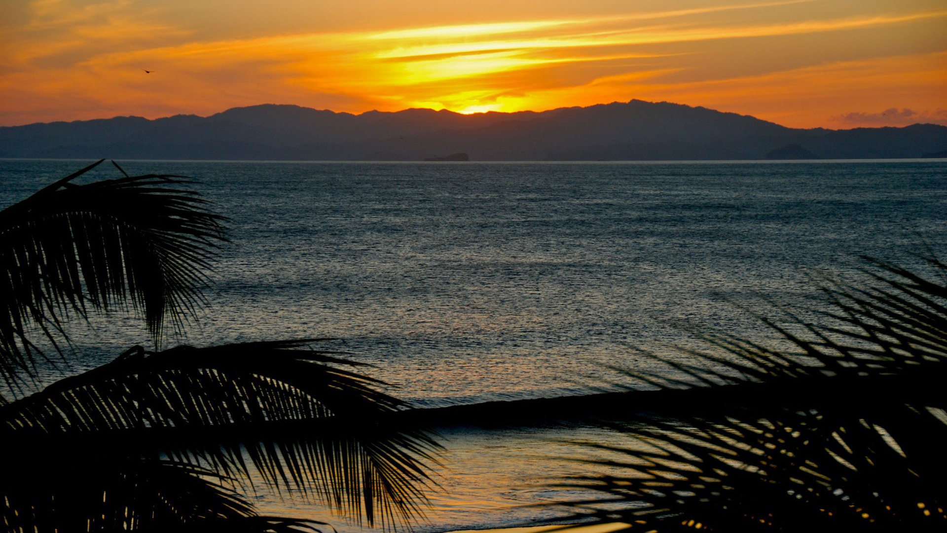 Замечательное место в Коста-Рика