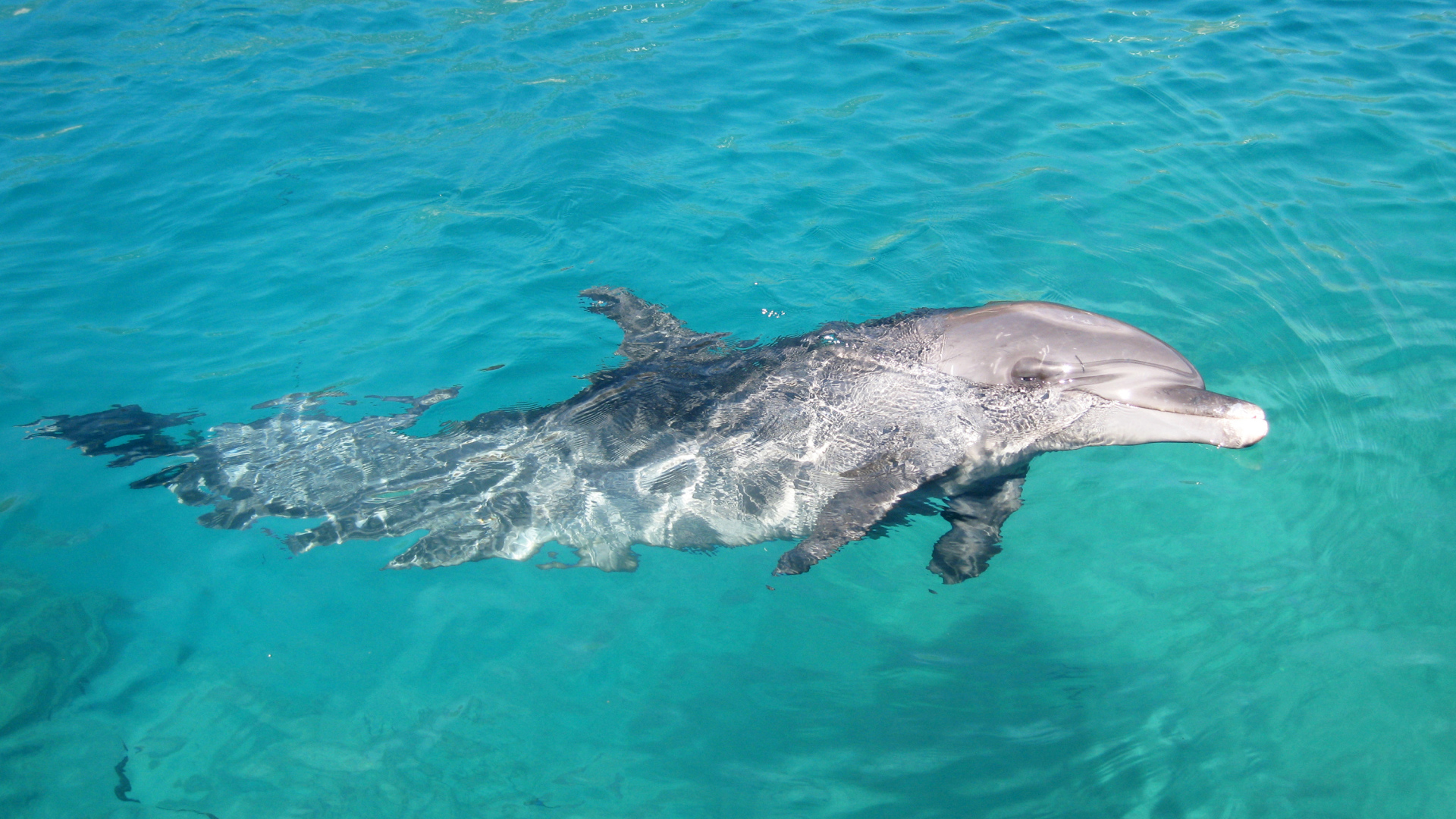 Изящное место в Коста-Рика