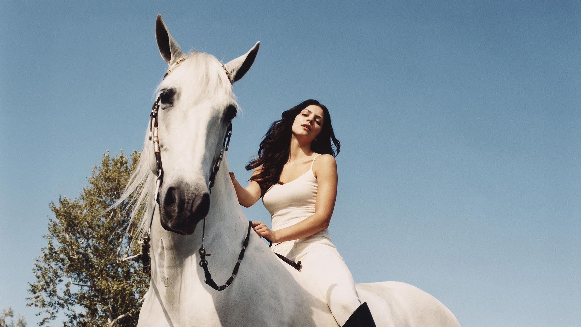 Катарина на белой лошади