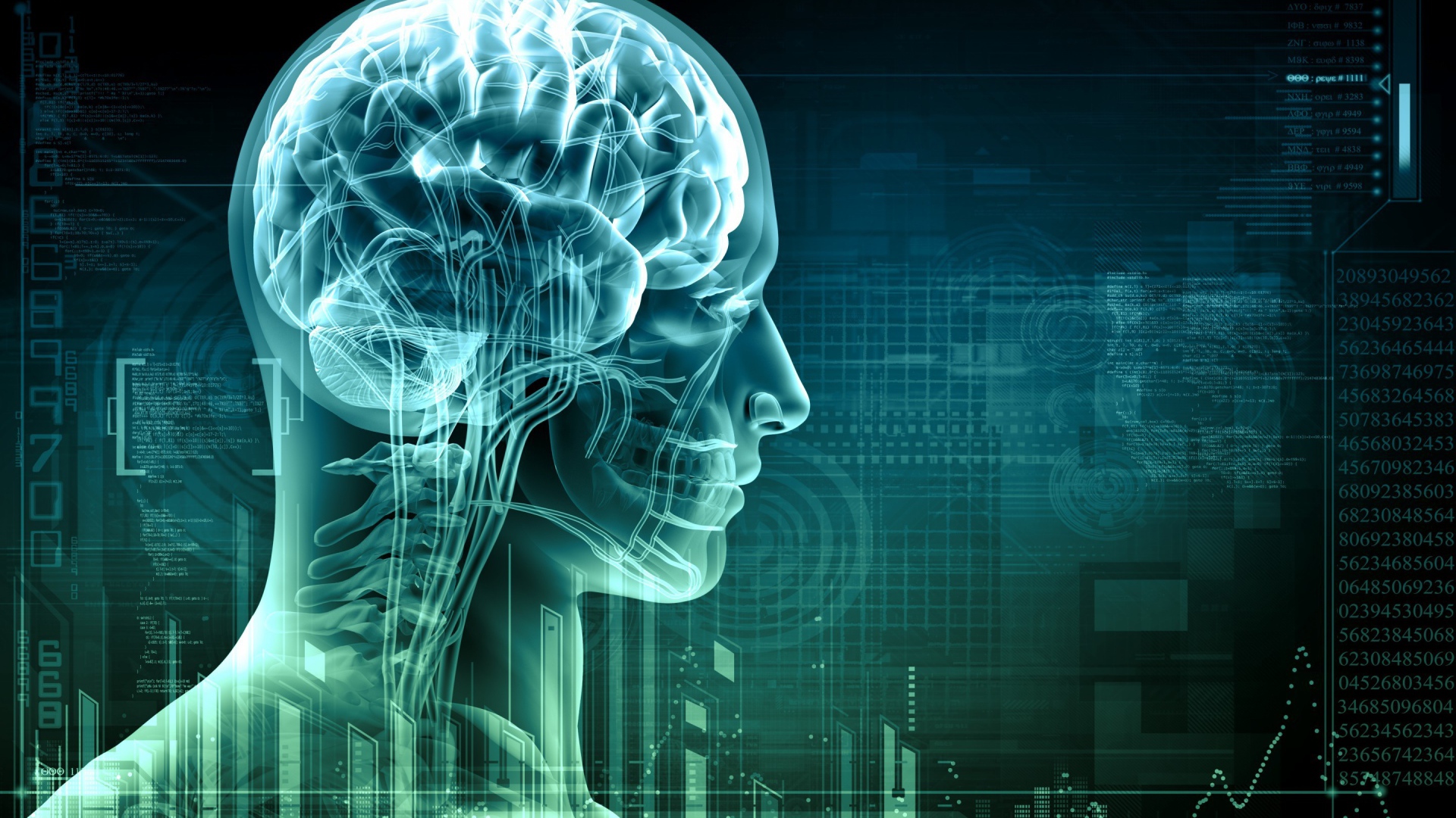 Цифровой снимок мозга человека