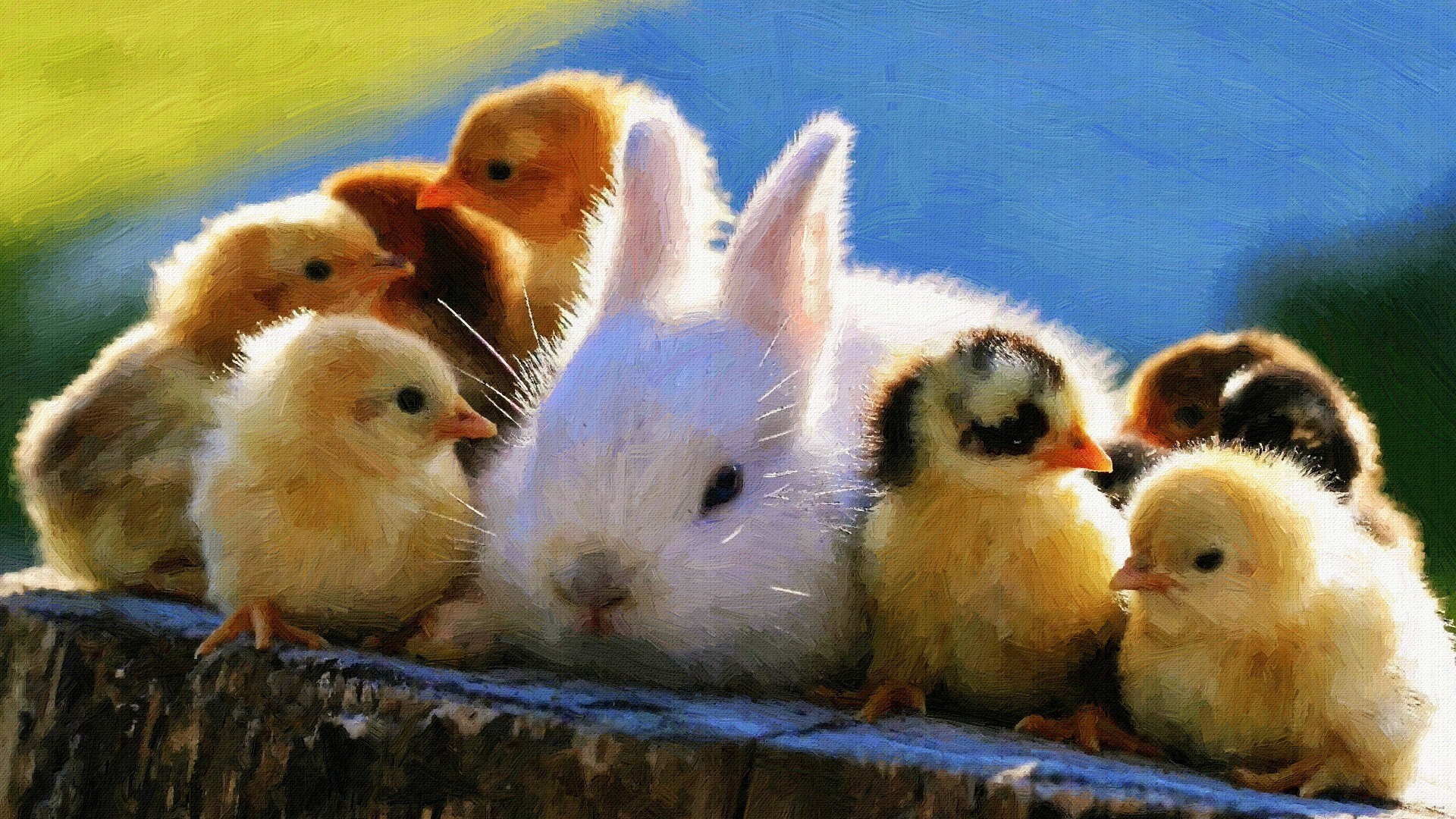 Кролик среди желтых цыплят