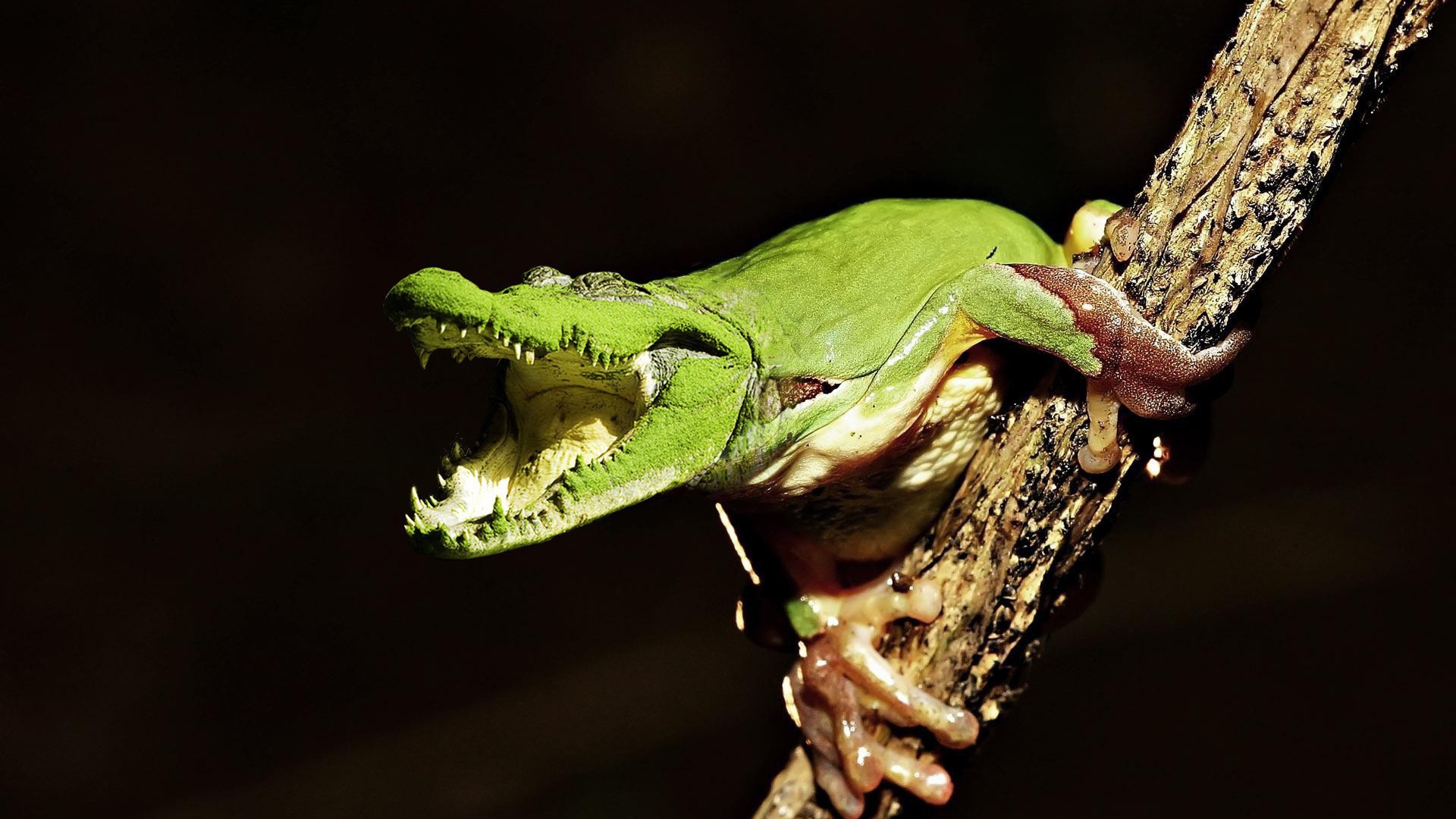 Лягушка крокодил на ветке