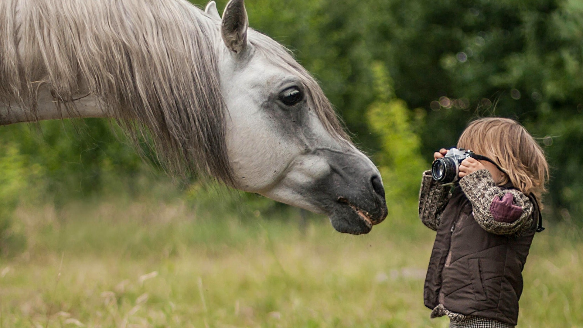 Мальчик фотографирует лошадь