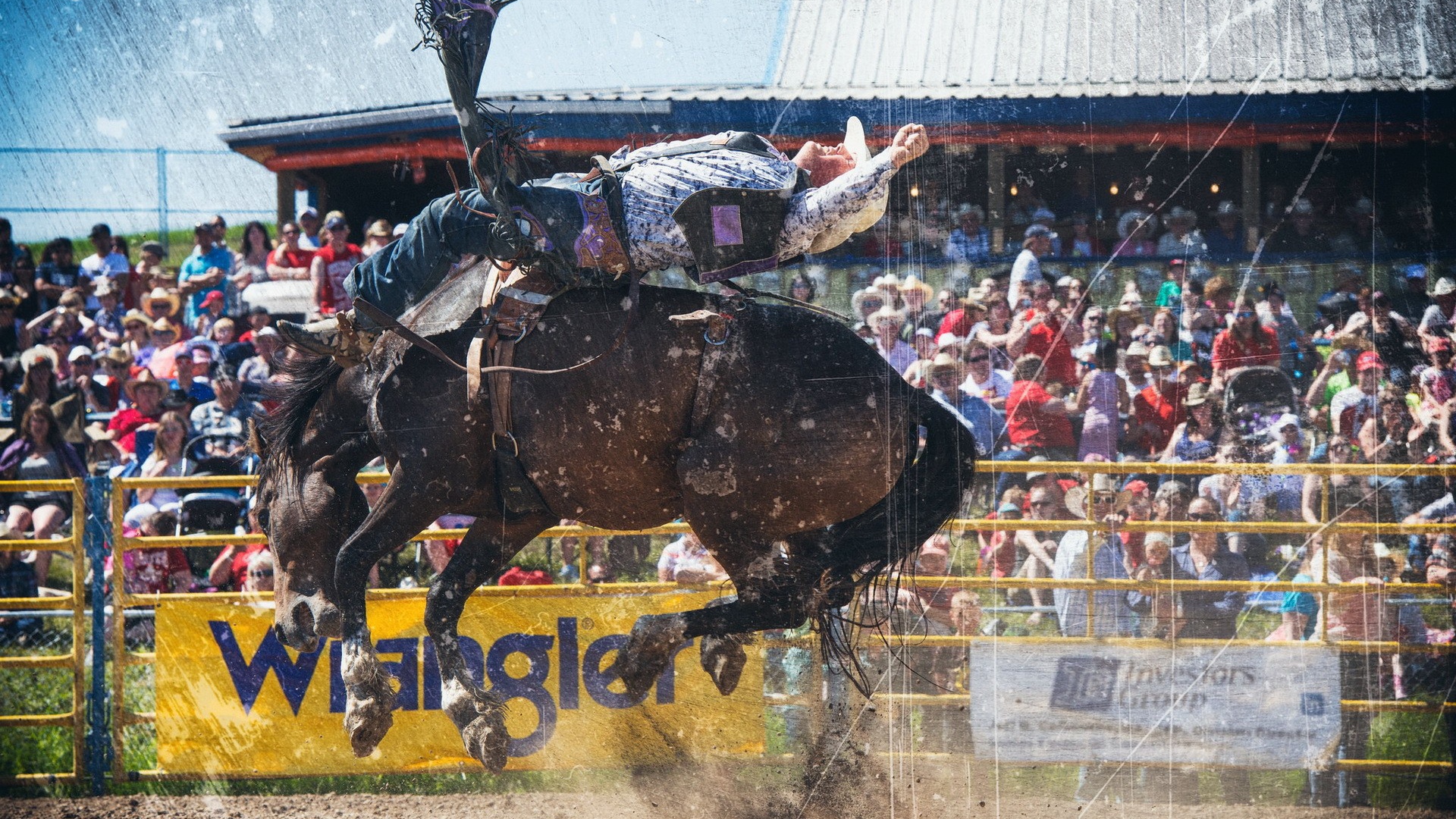 Всадник на лошади во время родео