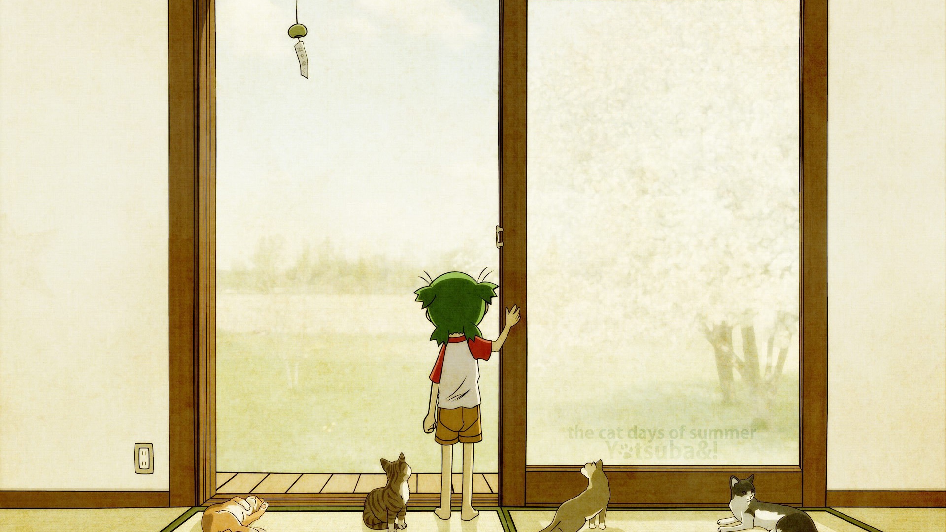 Девочка аниме с котами смотрит в окно