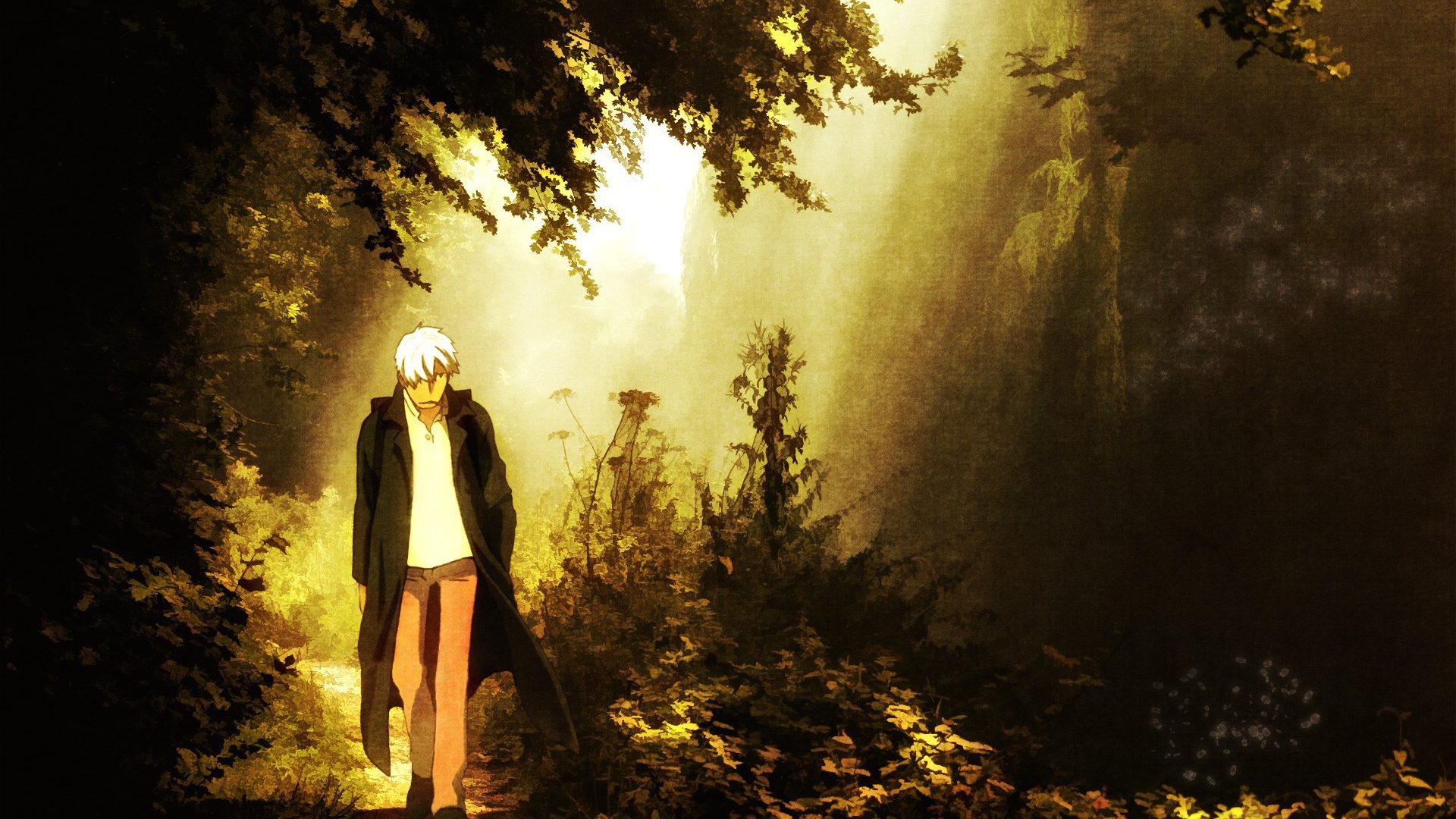 Парень идет по лесу, аниме Мастер Муси