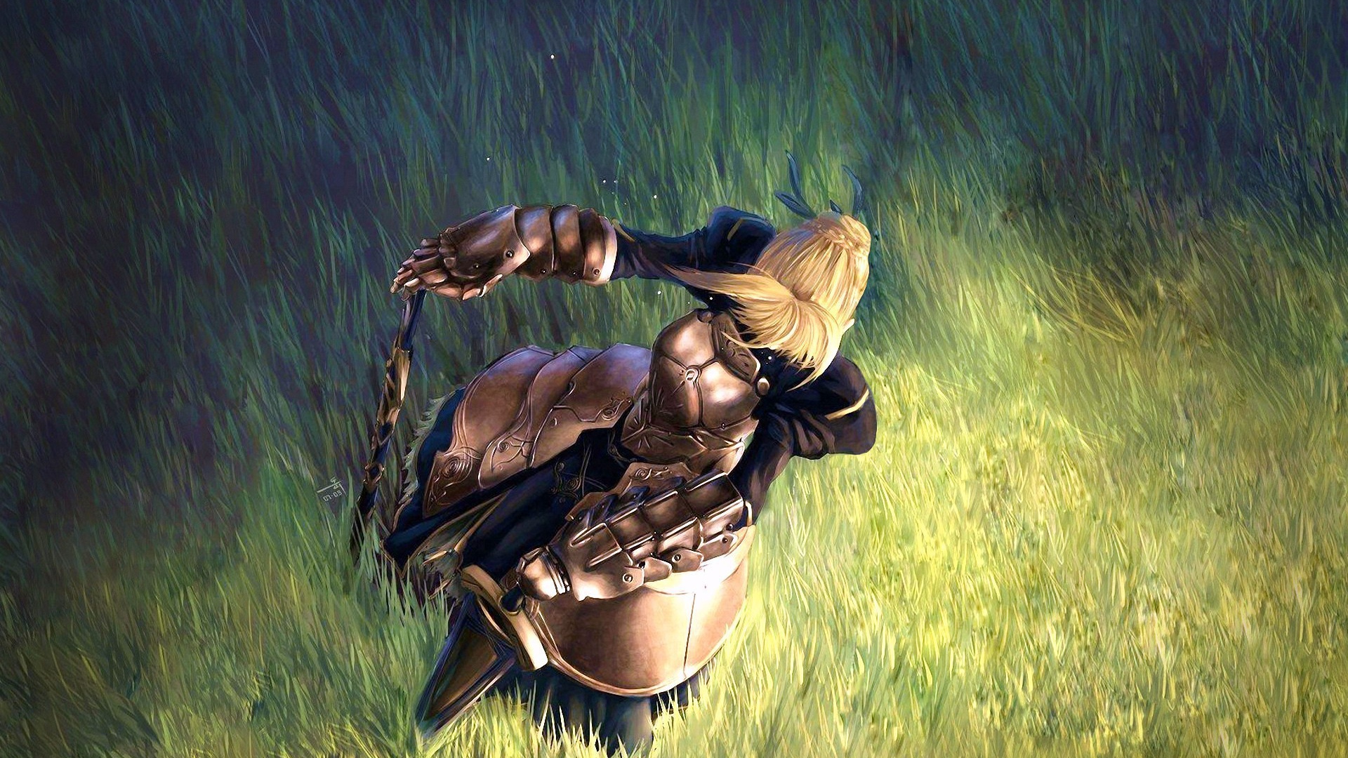 Тайп Мун в поле, аниме Ночь прибытия