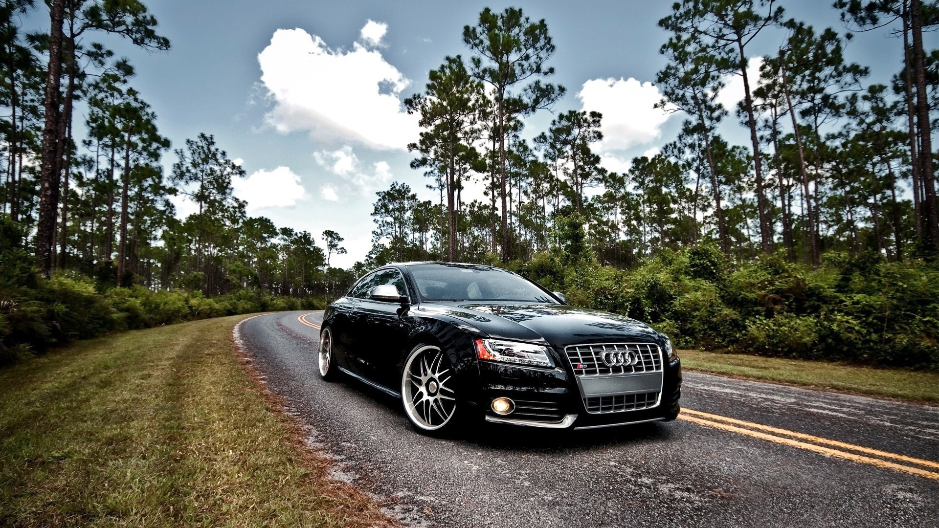 Luxury black Audi S5 on the highway in the woods