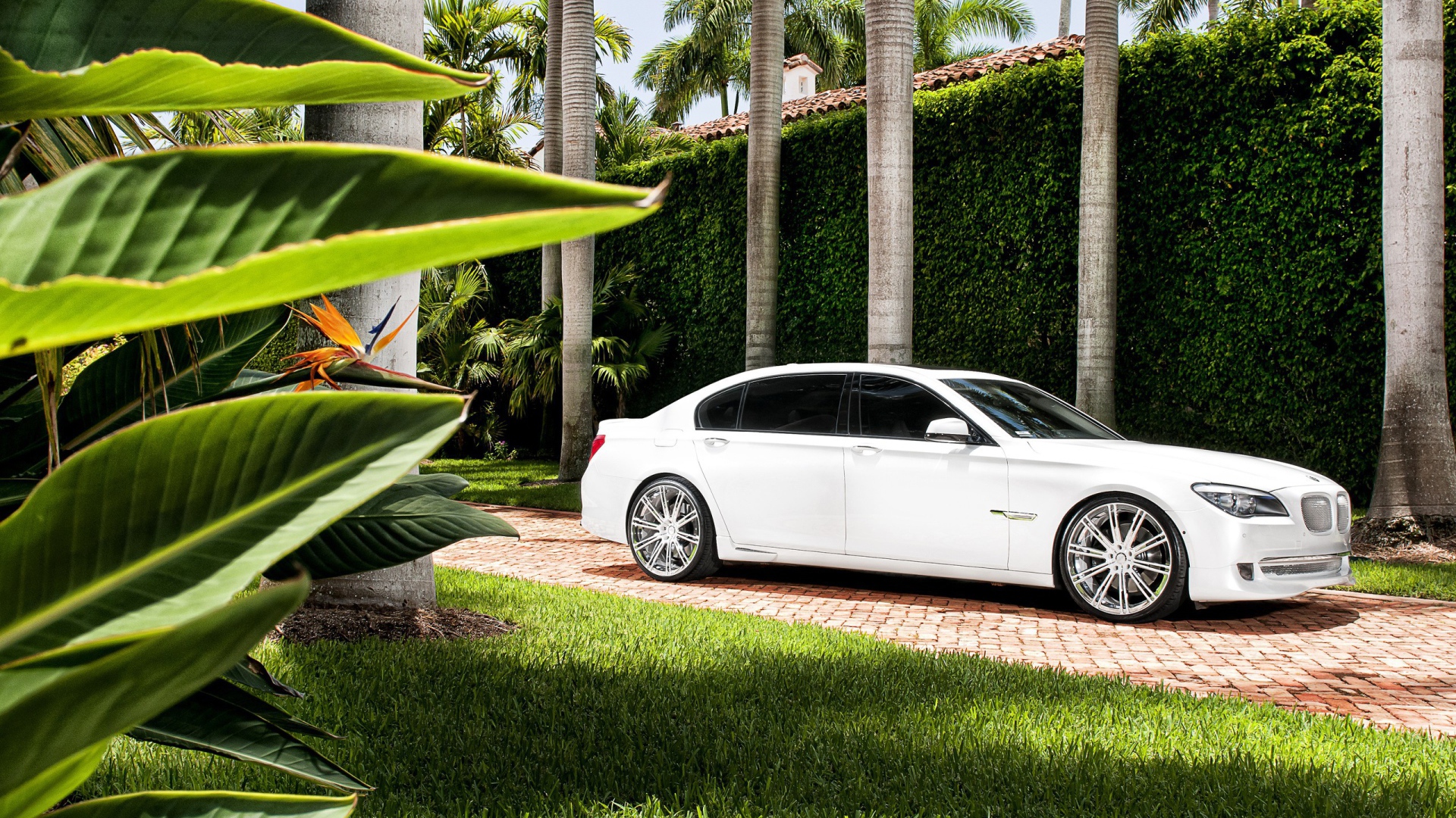 Белый БМВ во дворе богатого дома