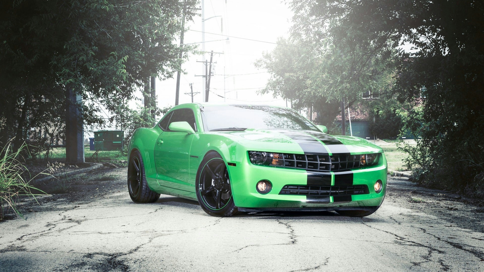 Зеленый Chevrolet Camaro на сером асфальте