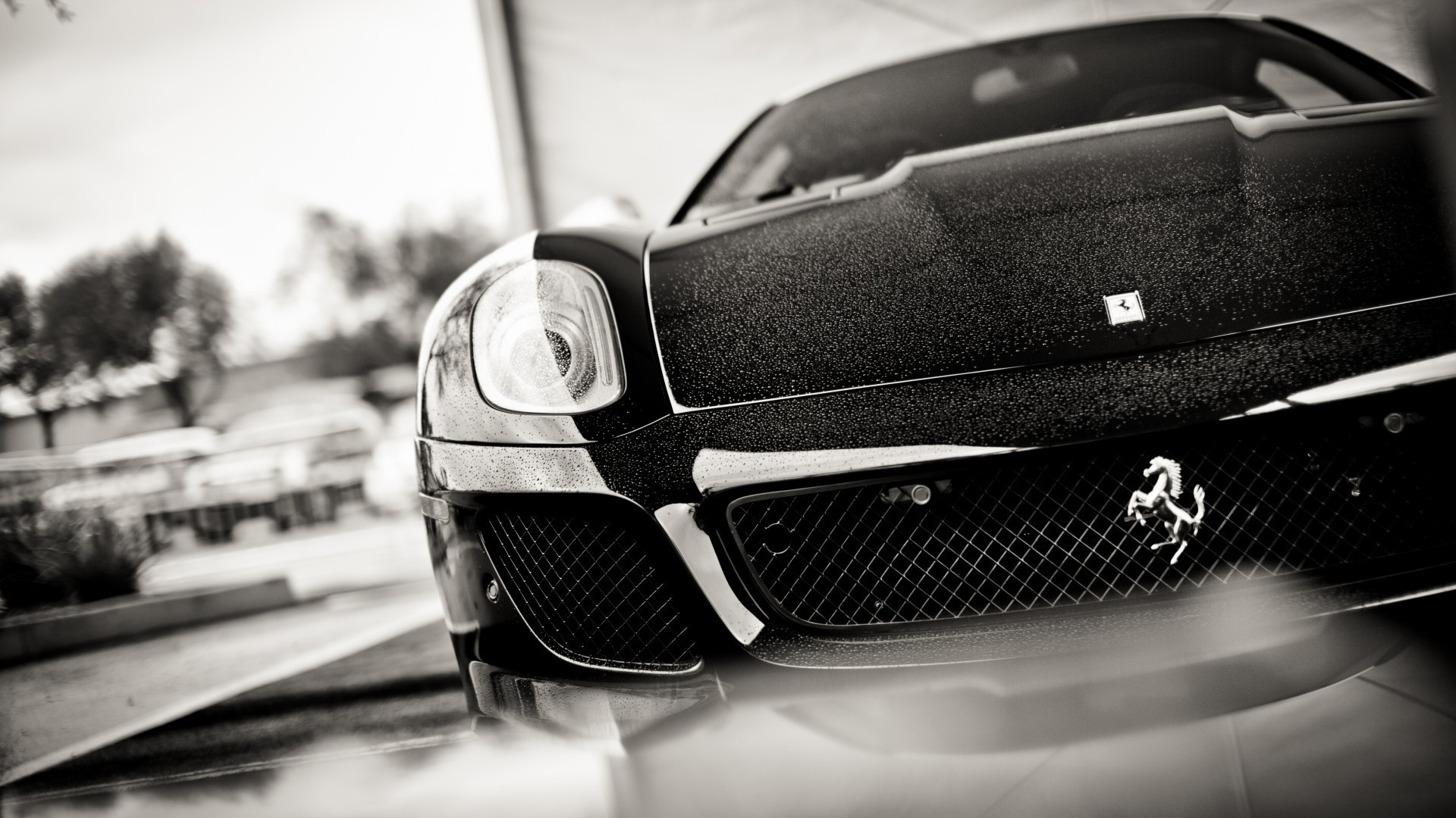 Черно белое фото авто Ferrari