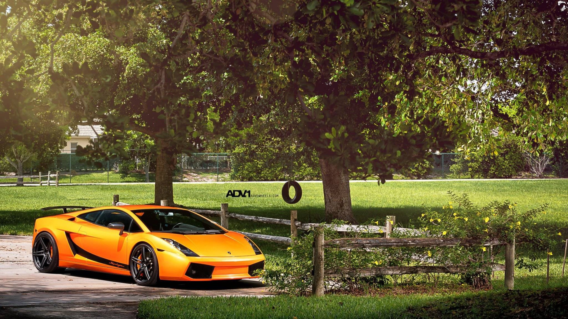 Оранжевый Lamborghini у фермерского забора