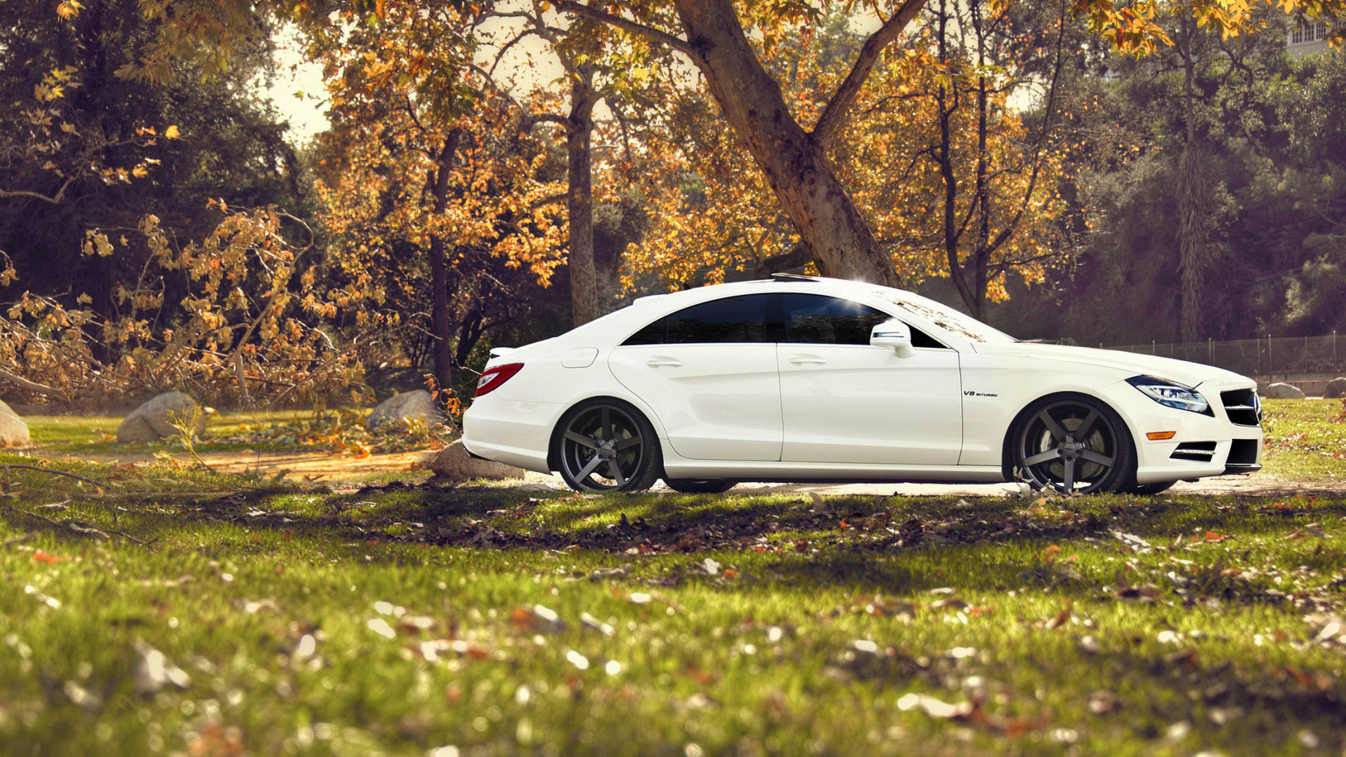 Белый мерседес на природе