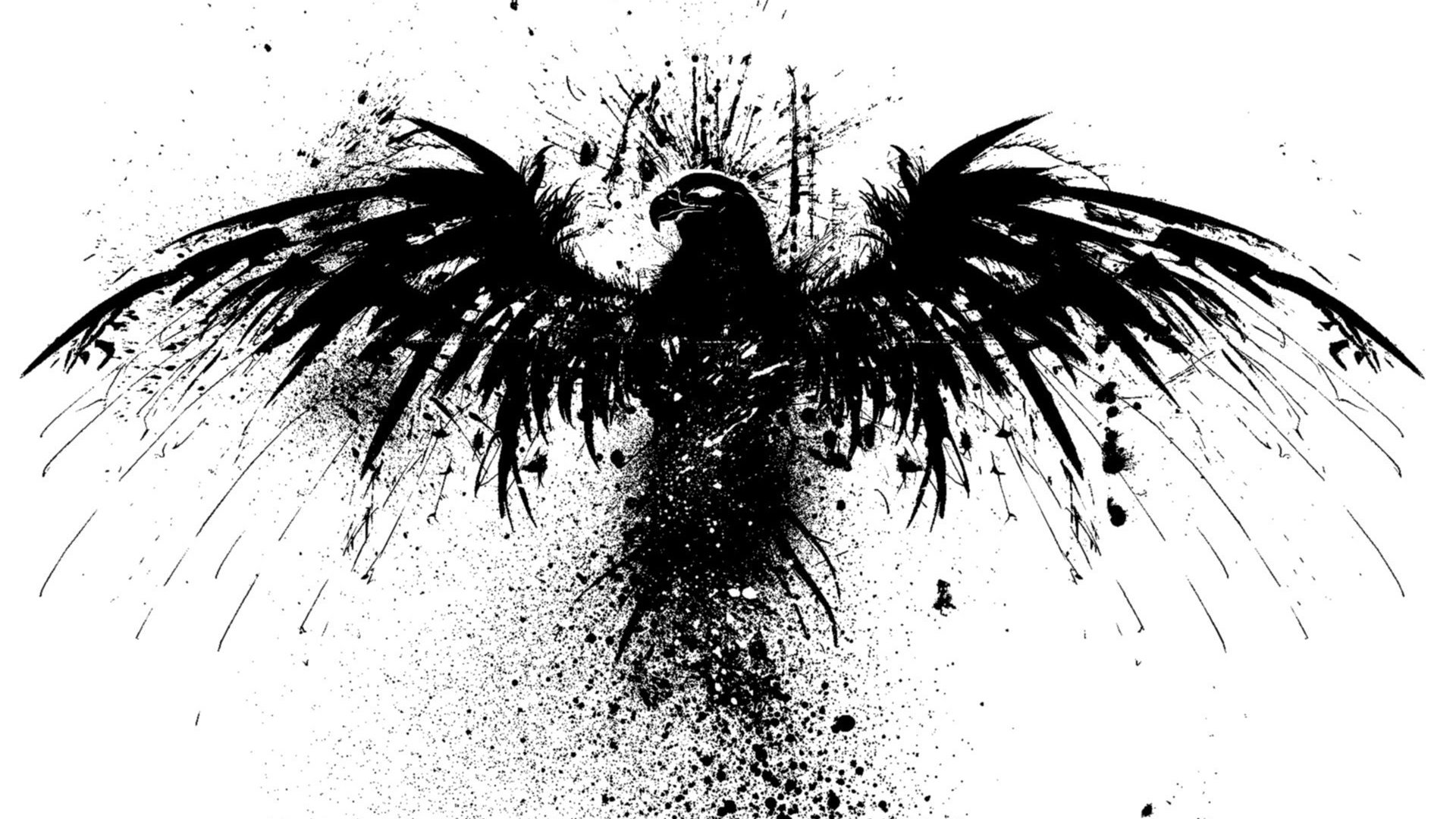 Черная птица на белом фоне