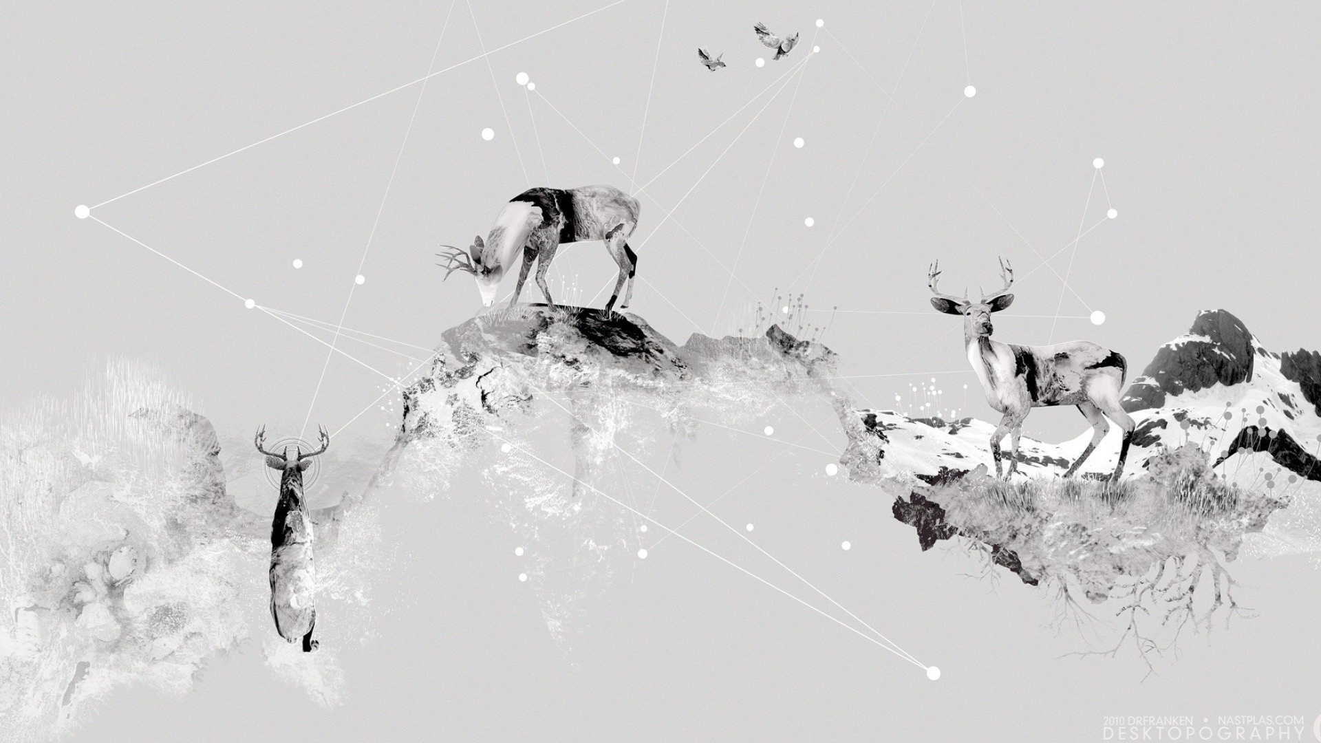 Олени в горах, серый фон