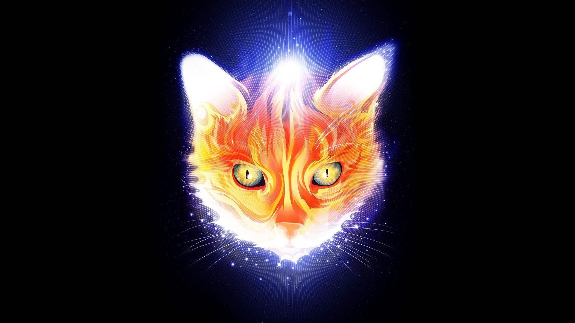 Огненная мордочка кота, черный фон