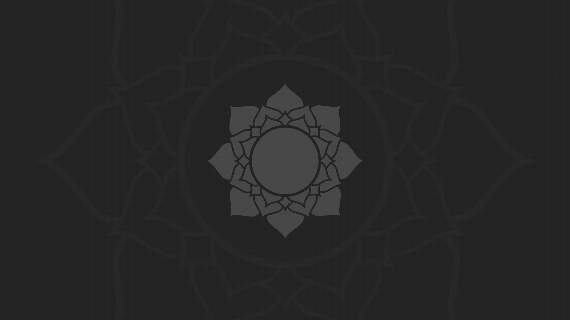 Цветок лотоса, темно серый фон