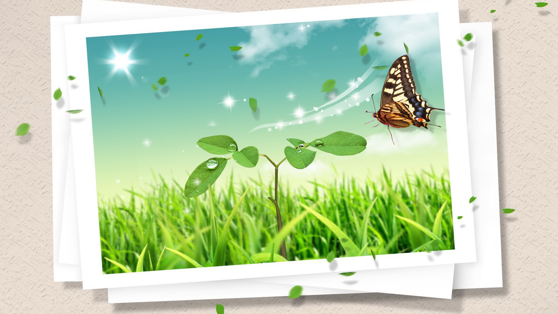 Летняя открытка с бабочкой