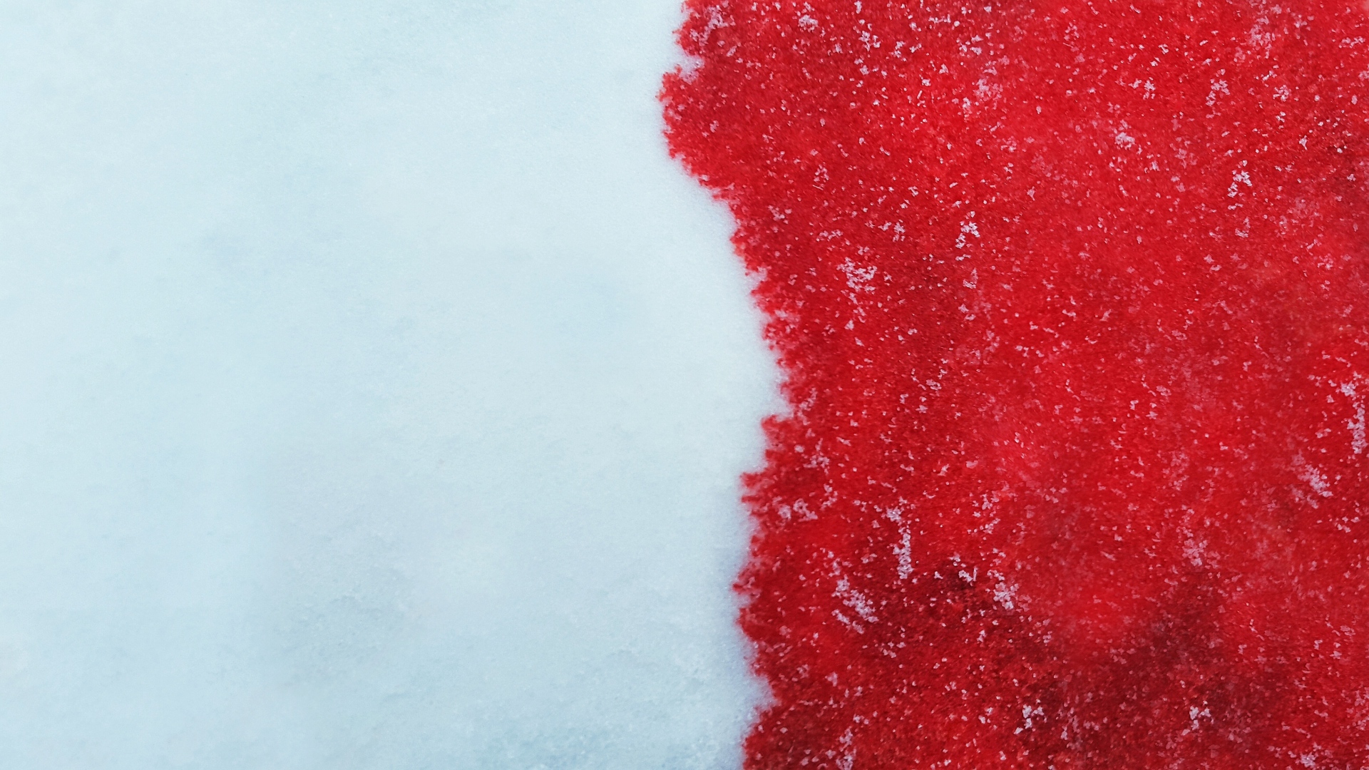 Кровь на белом снеге