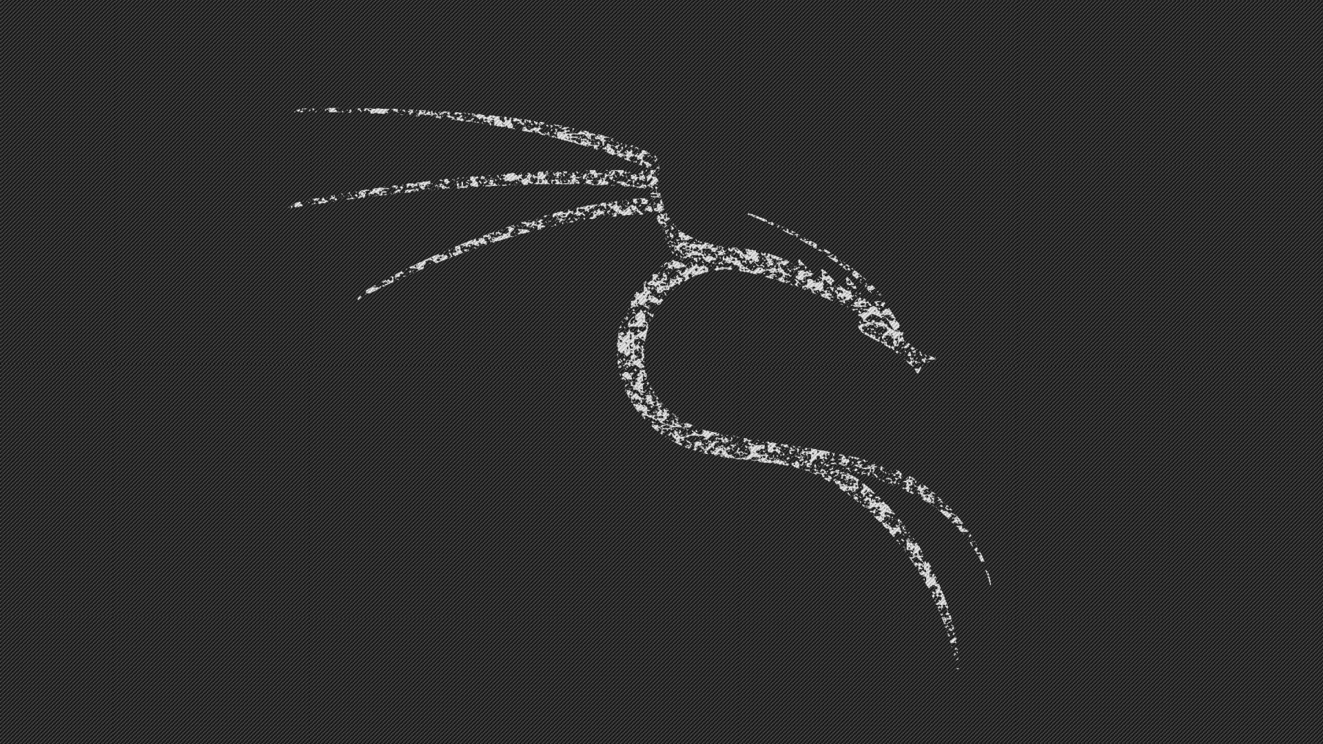 Белый дракон Kali Linux NetHunter