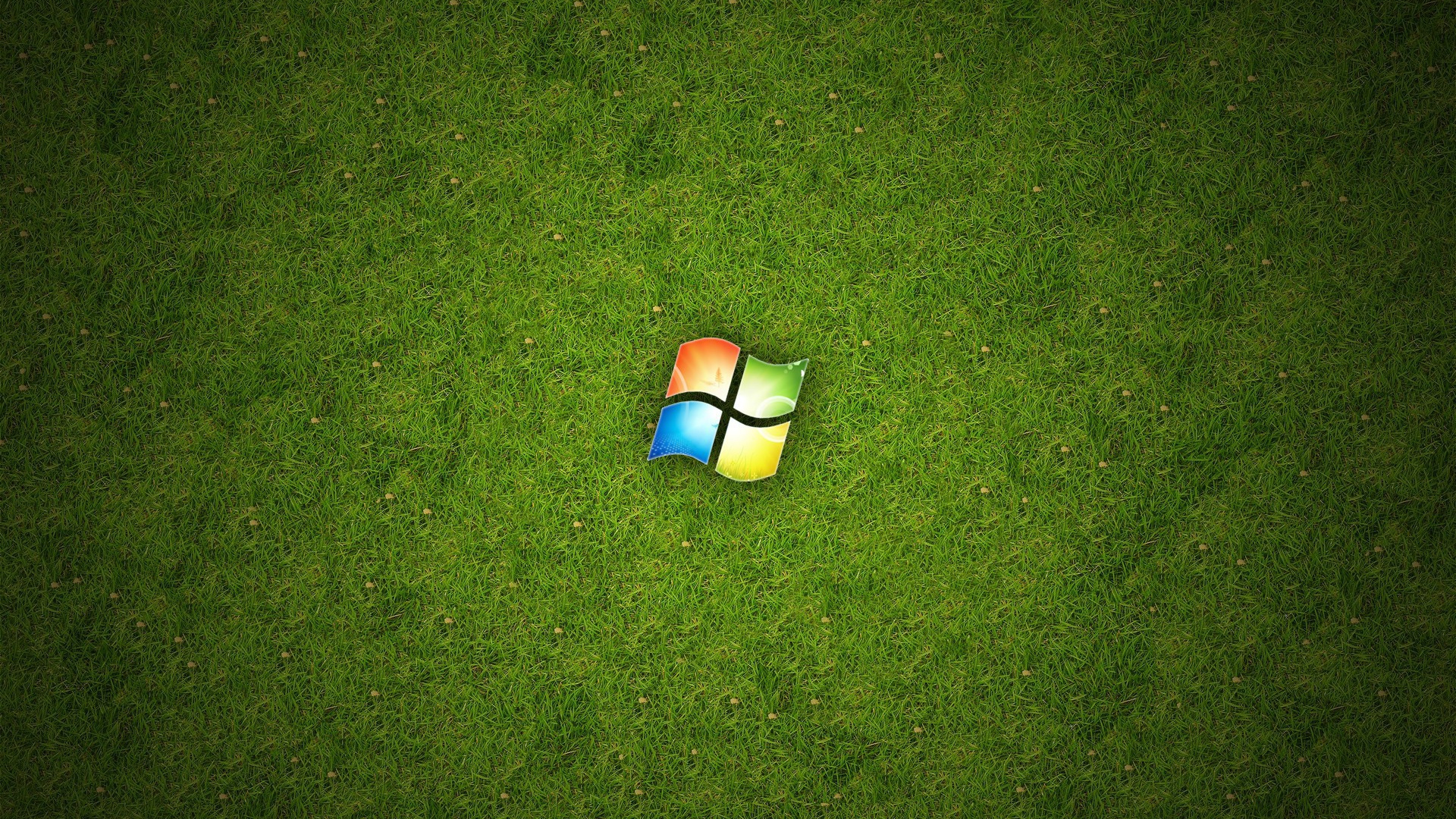 Логотип Windows 10 на зеленом газоне