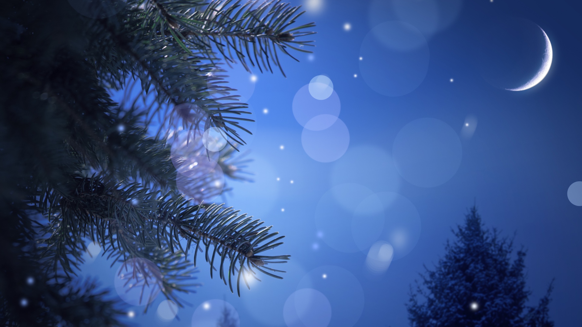 Новогодняя лунная ночь