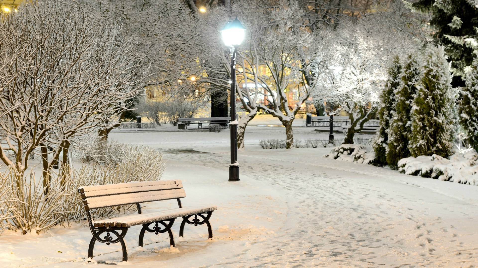 Winter evening in city park