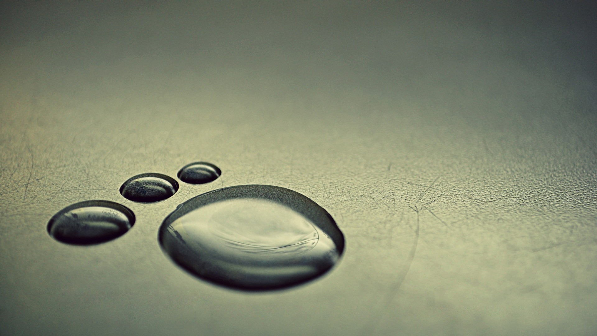 След из капель воды