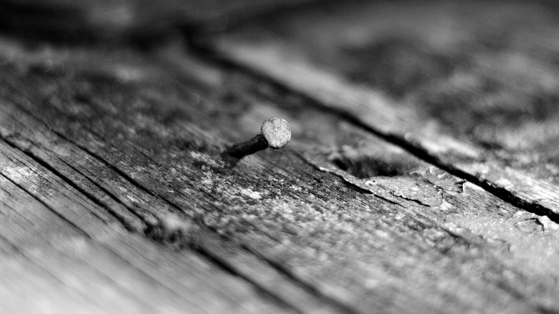 Кривой гвоздь в дереве