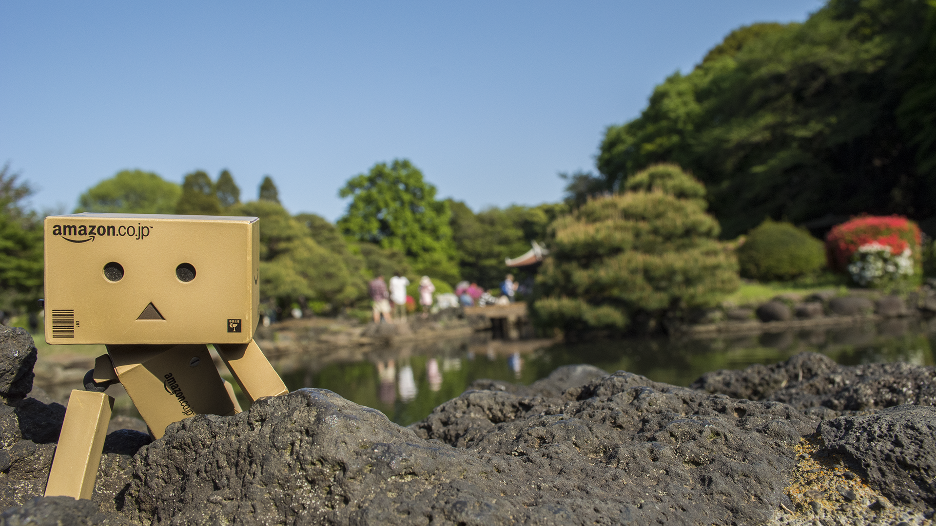 Данбору кун прячется за камнем