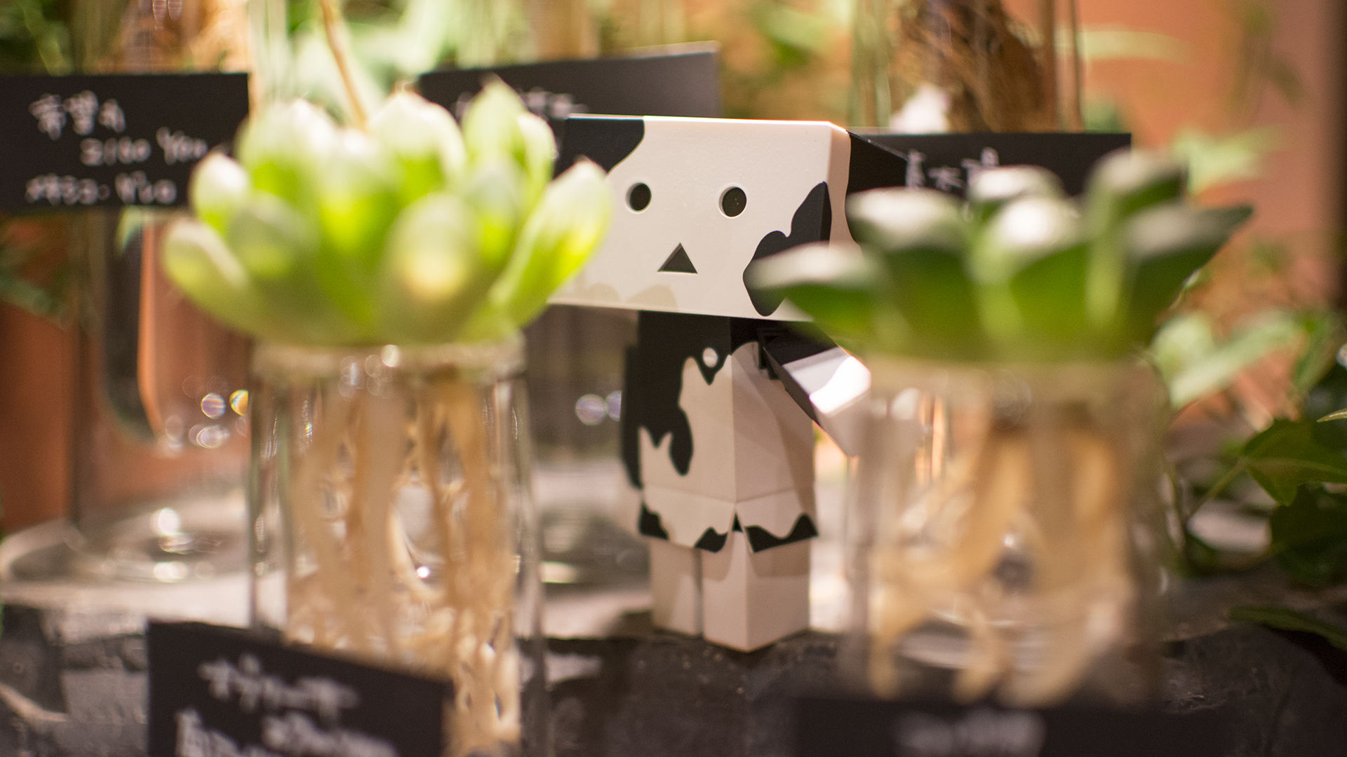 Дандо в маскировке