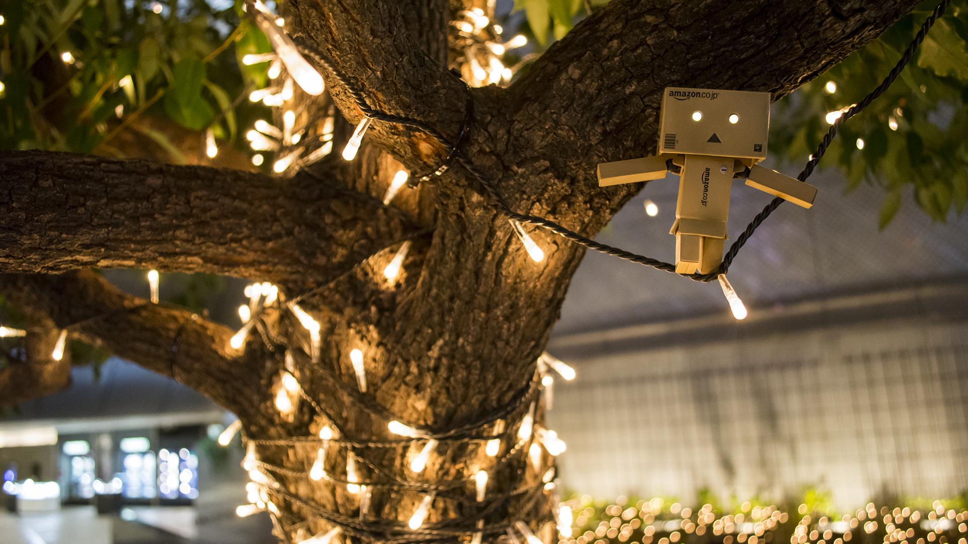 Дандо на гирлянде