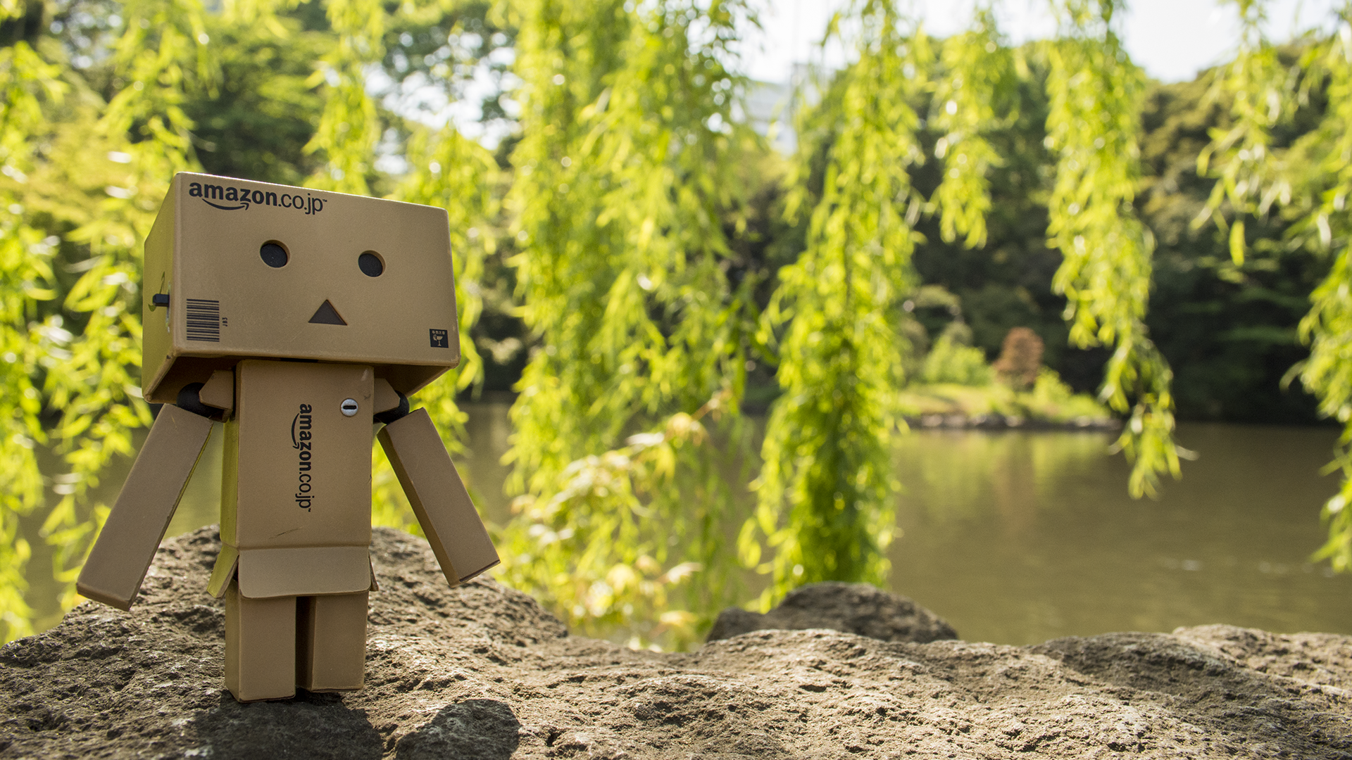 Дандо на земле в саду