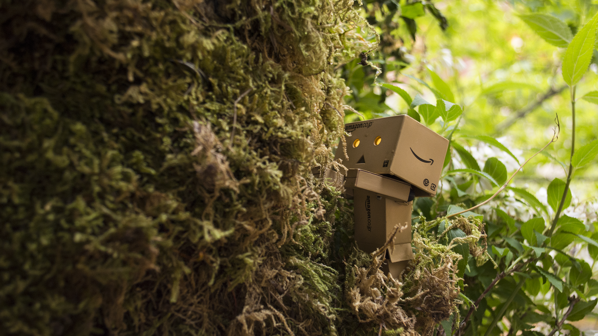 Дандо в японском саду