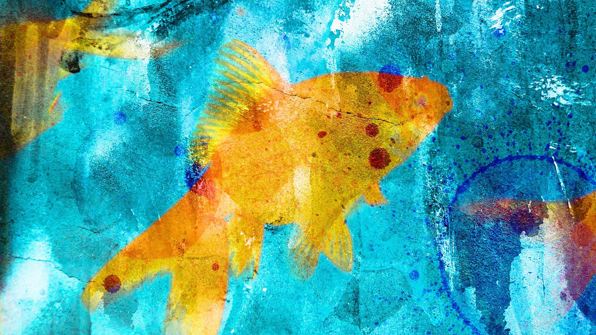 Граффити рыбка на голубом фоне