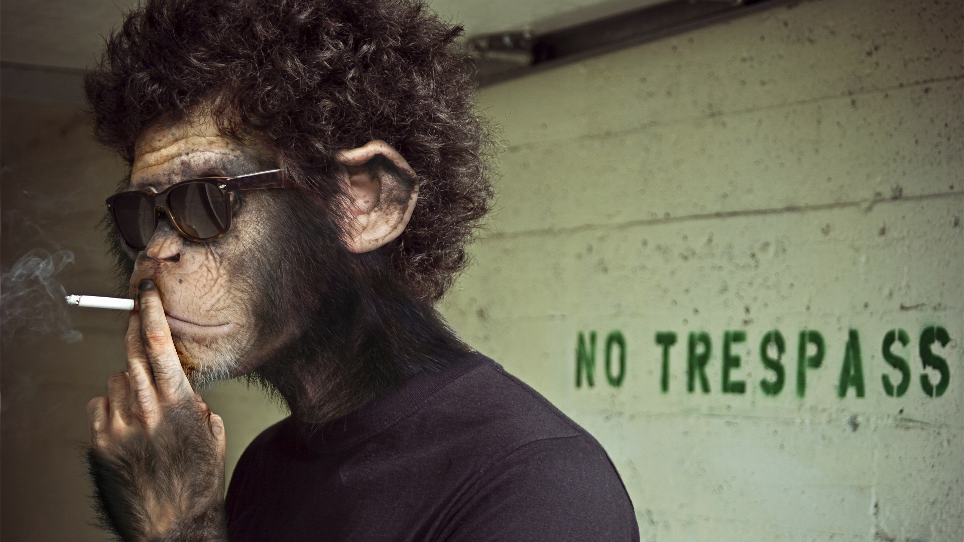 Обезьяна курит сигарету