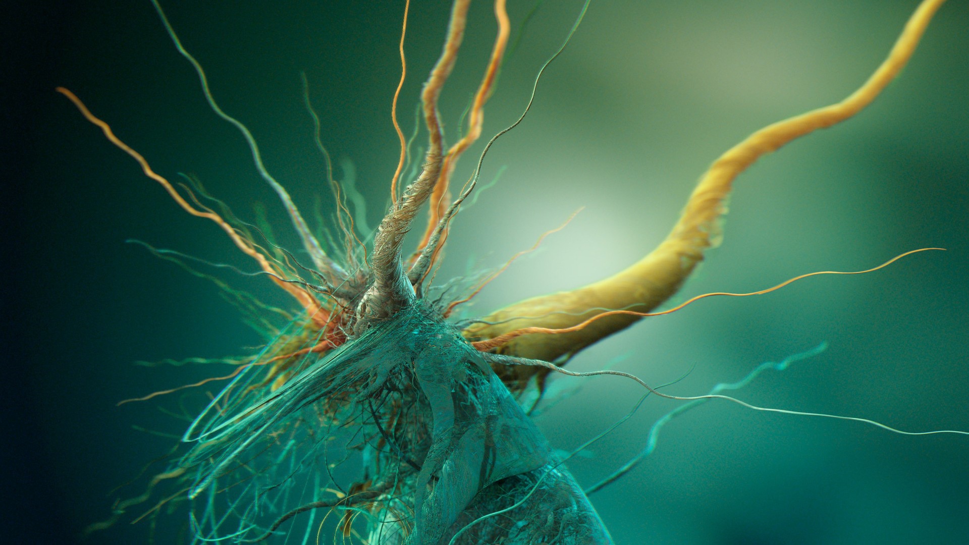 Фото микроорганизма под увеличением