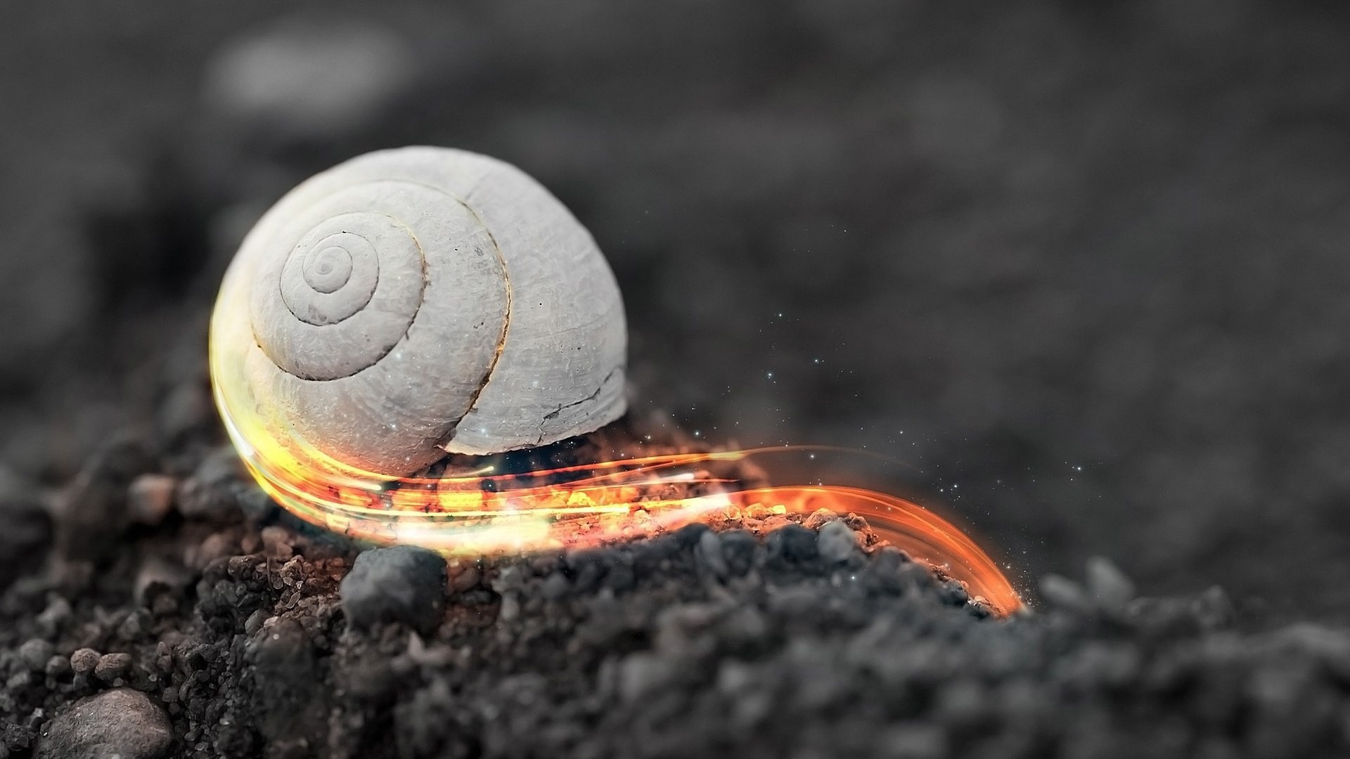 Стремительная огненная улитка