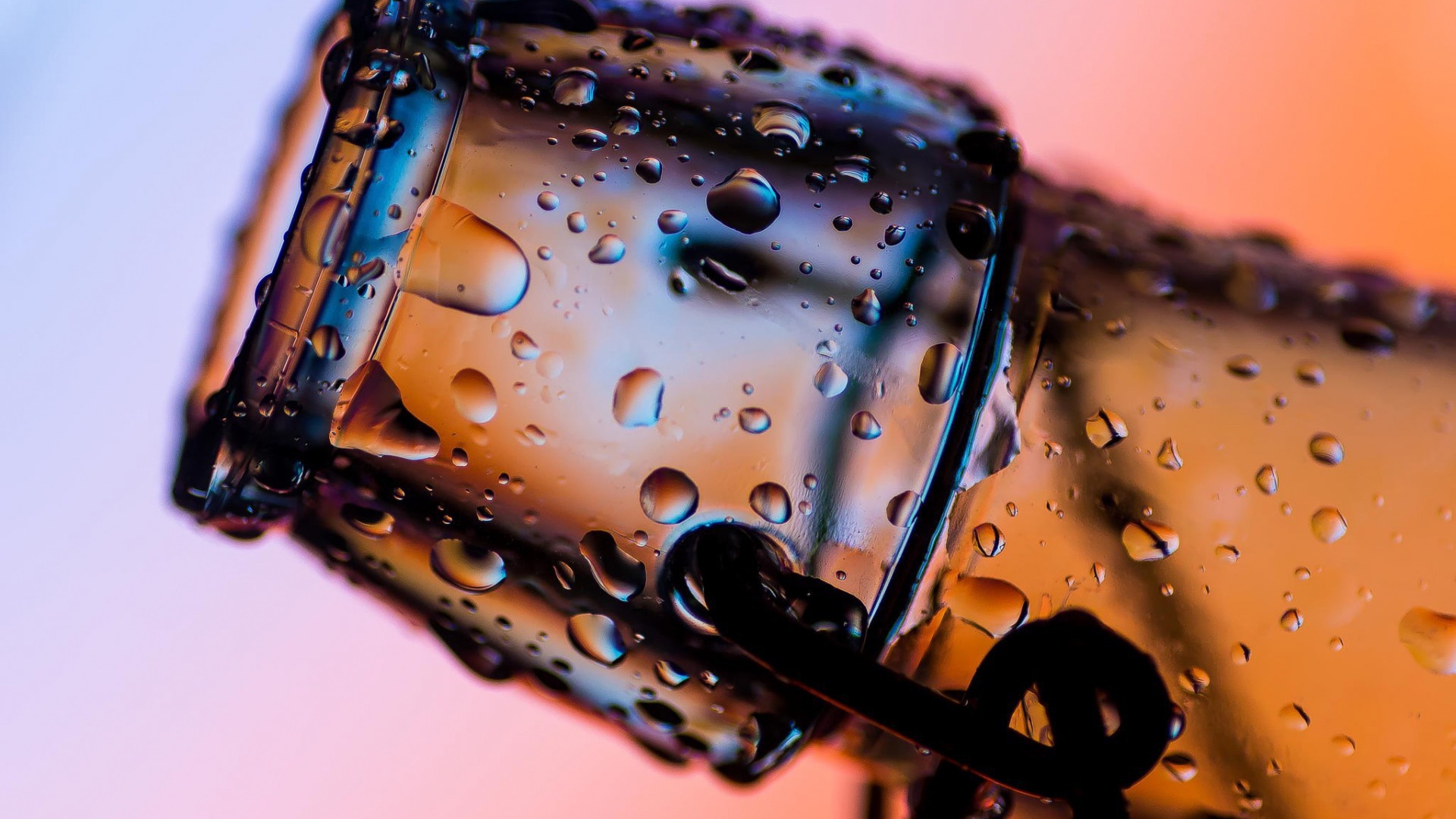 Горлышко мокрой бутылки