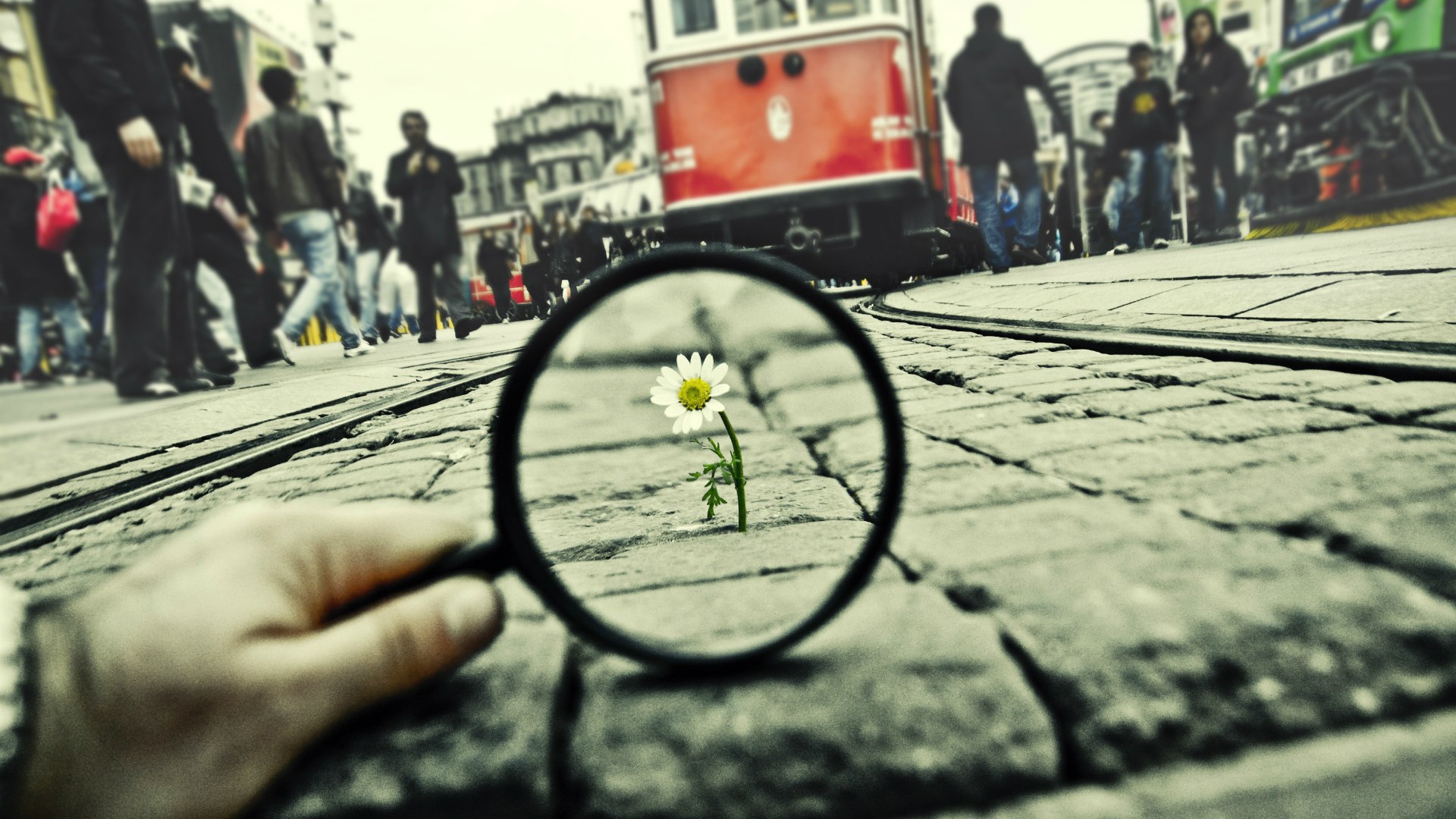 Воля к жизни, достойная уважения