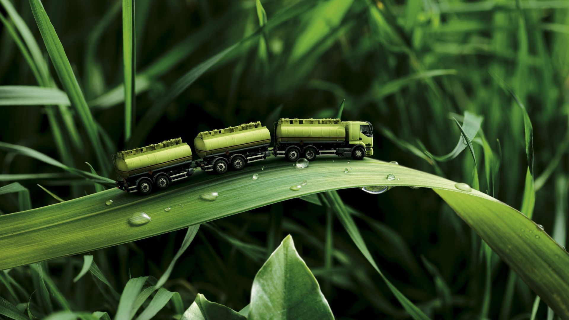 Игрушка на траве